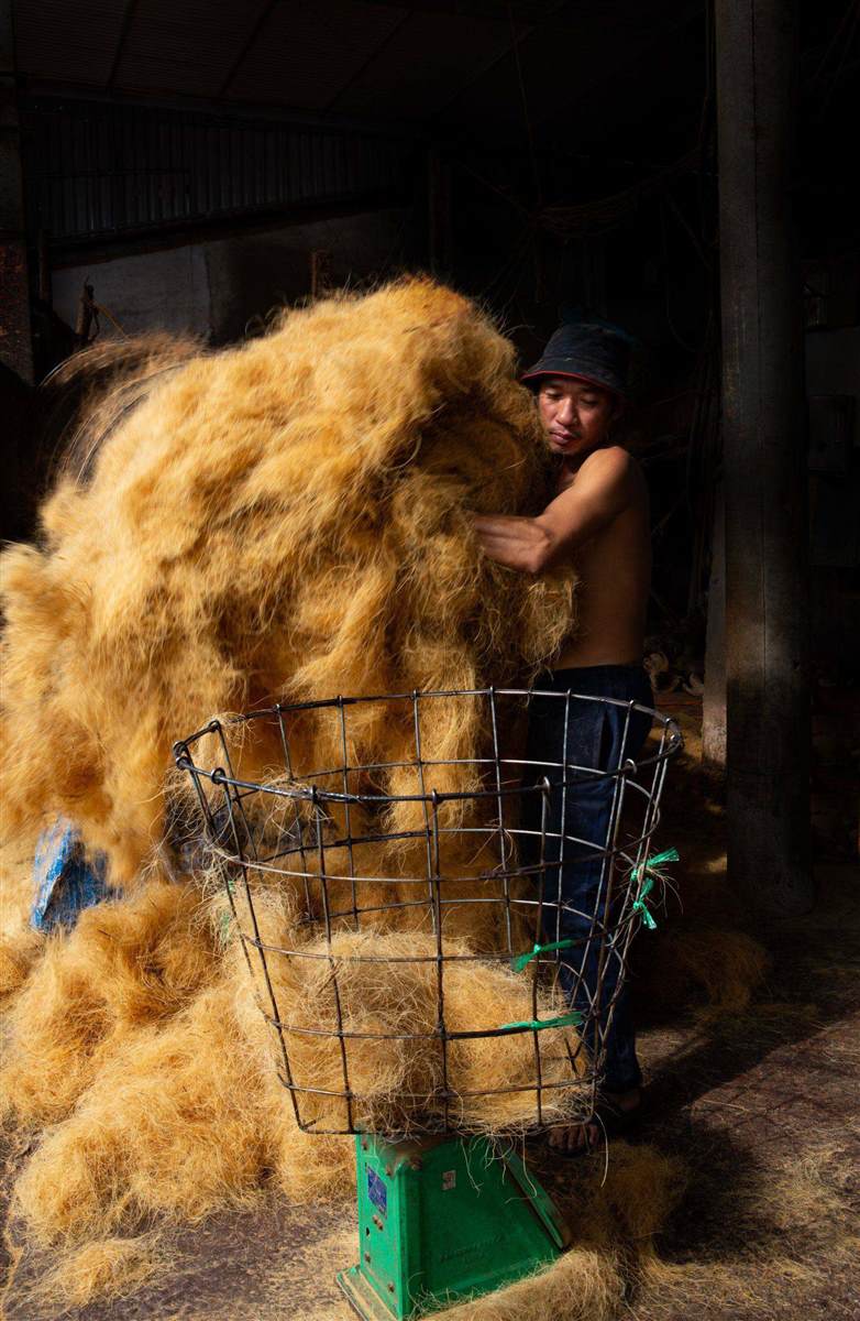 Decorticated machine coir fibre, weighed for export