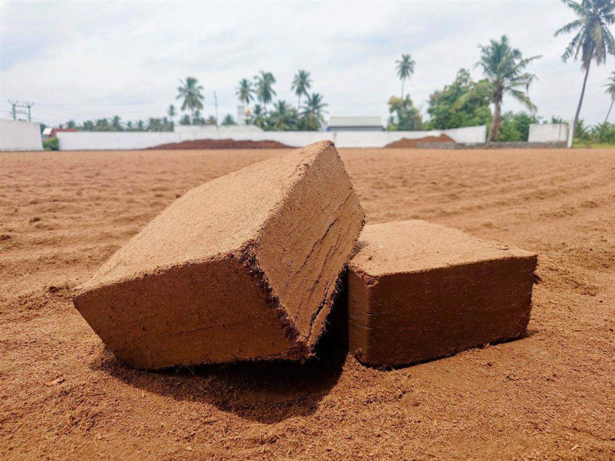 Documentary photograph — compressed coco peat blocks