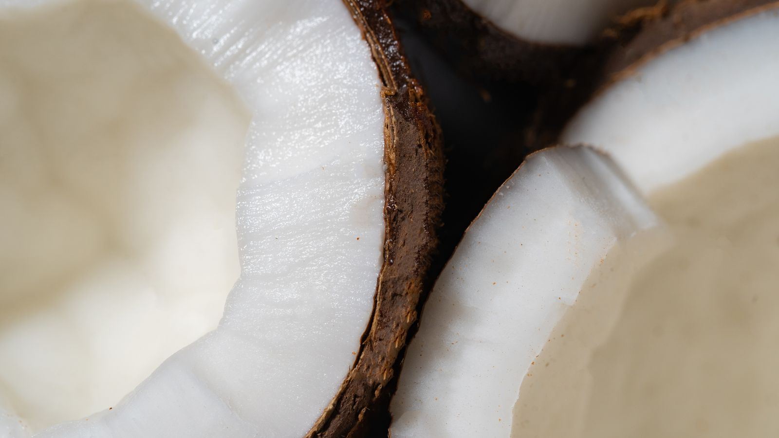 Real photo — product close-up (desiccated / oil / milk)