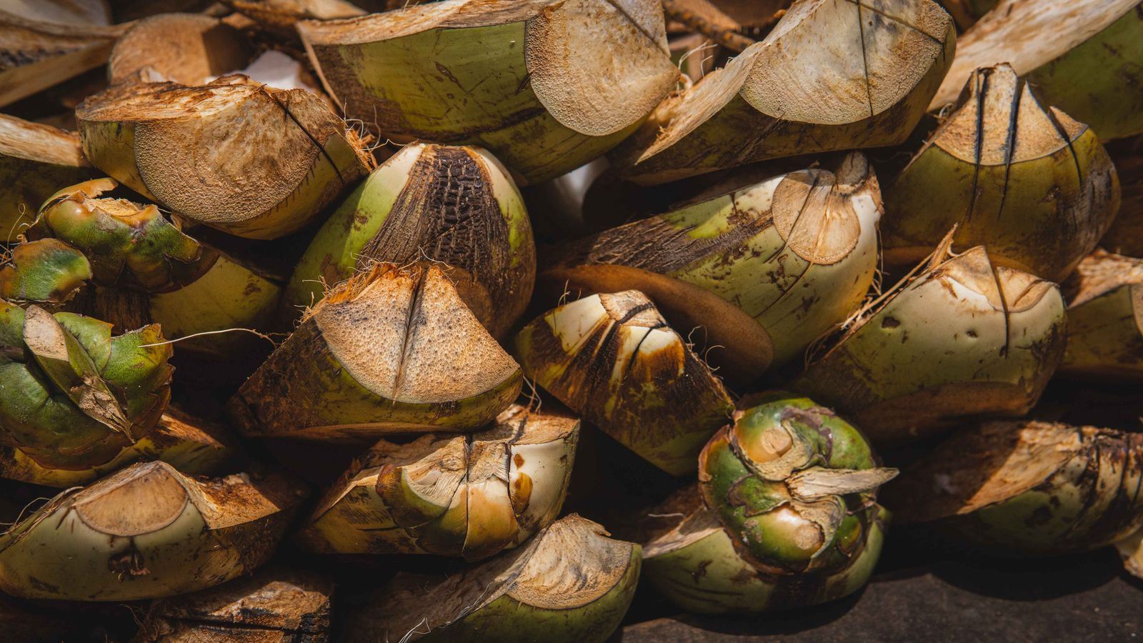Fresh green coconuts for bulk coconut water