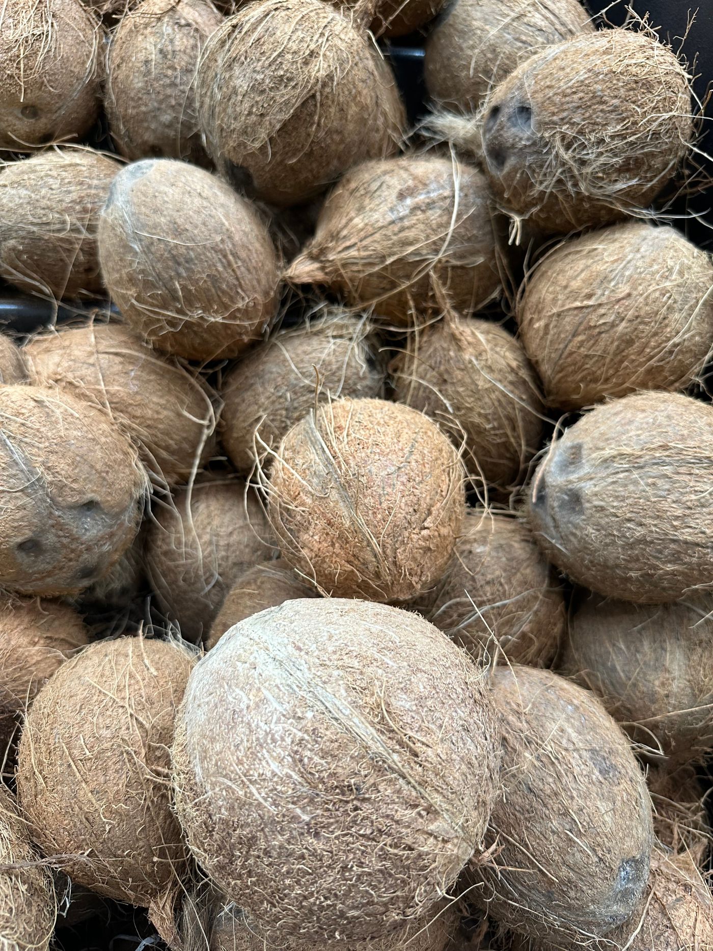 Documentary photograph — husk fibre, coir & coco peat