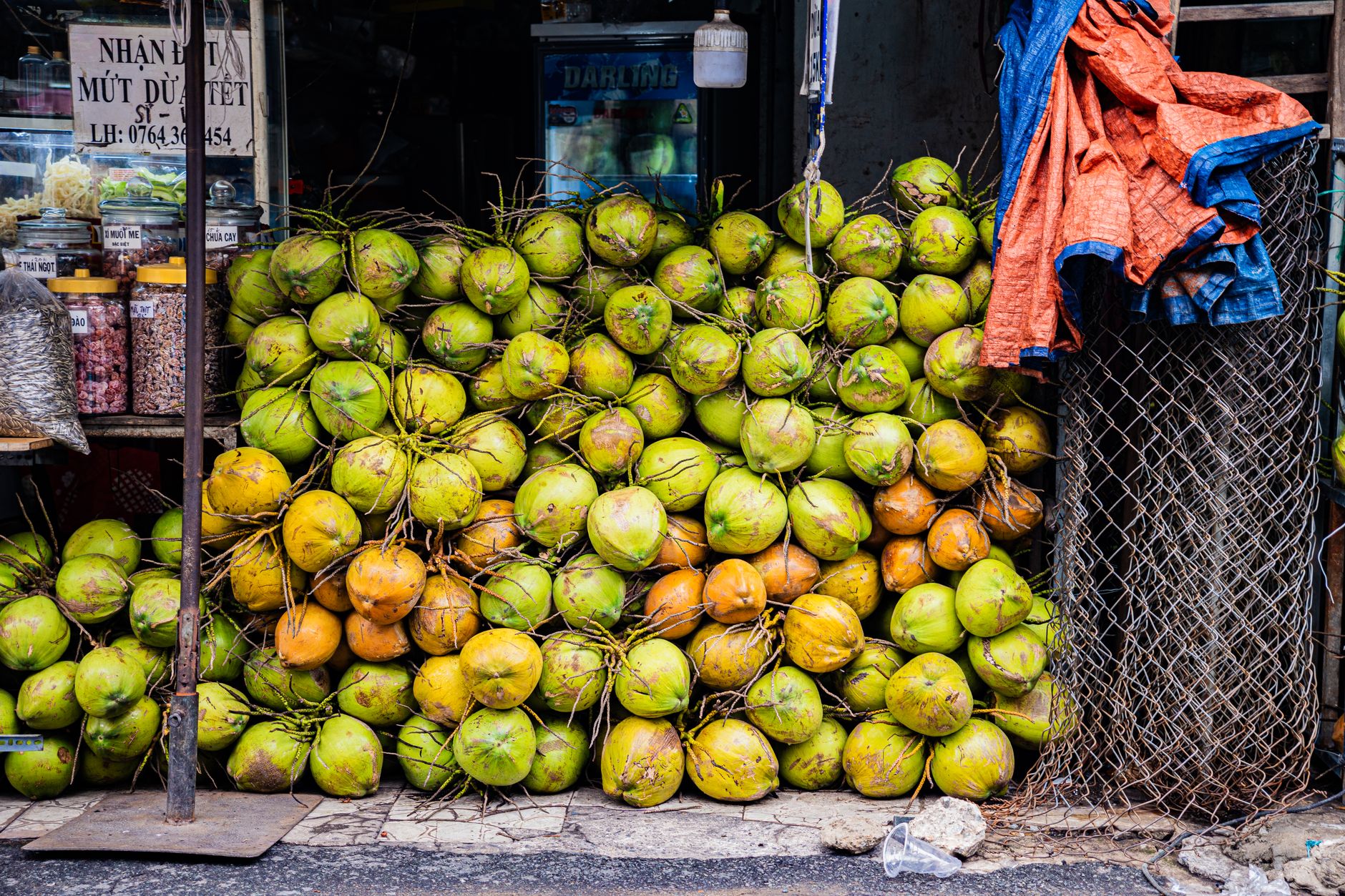 Coconut Coir HS Code: How to Classify for EU & US Imports